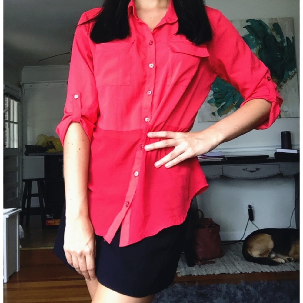 Pink Blouse, Half Sheer